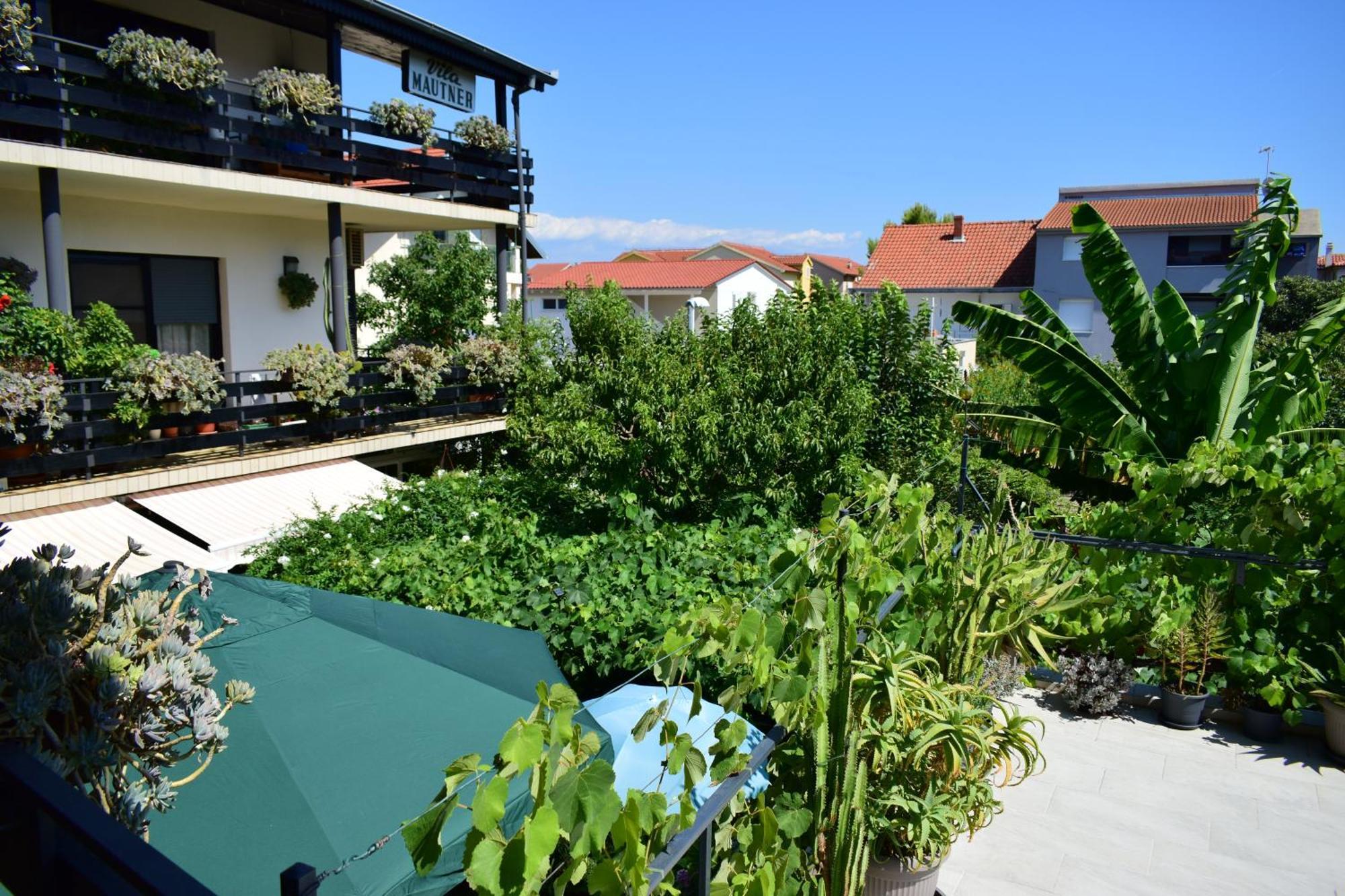 Rooms Vila Mautner Водице Екстер'єр фото
