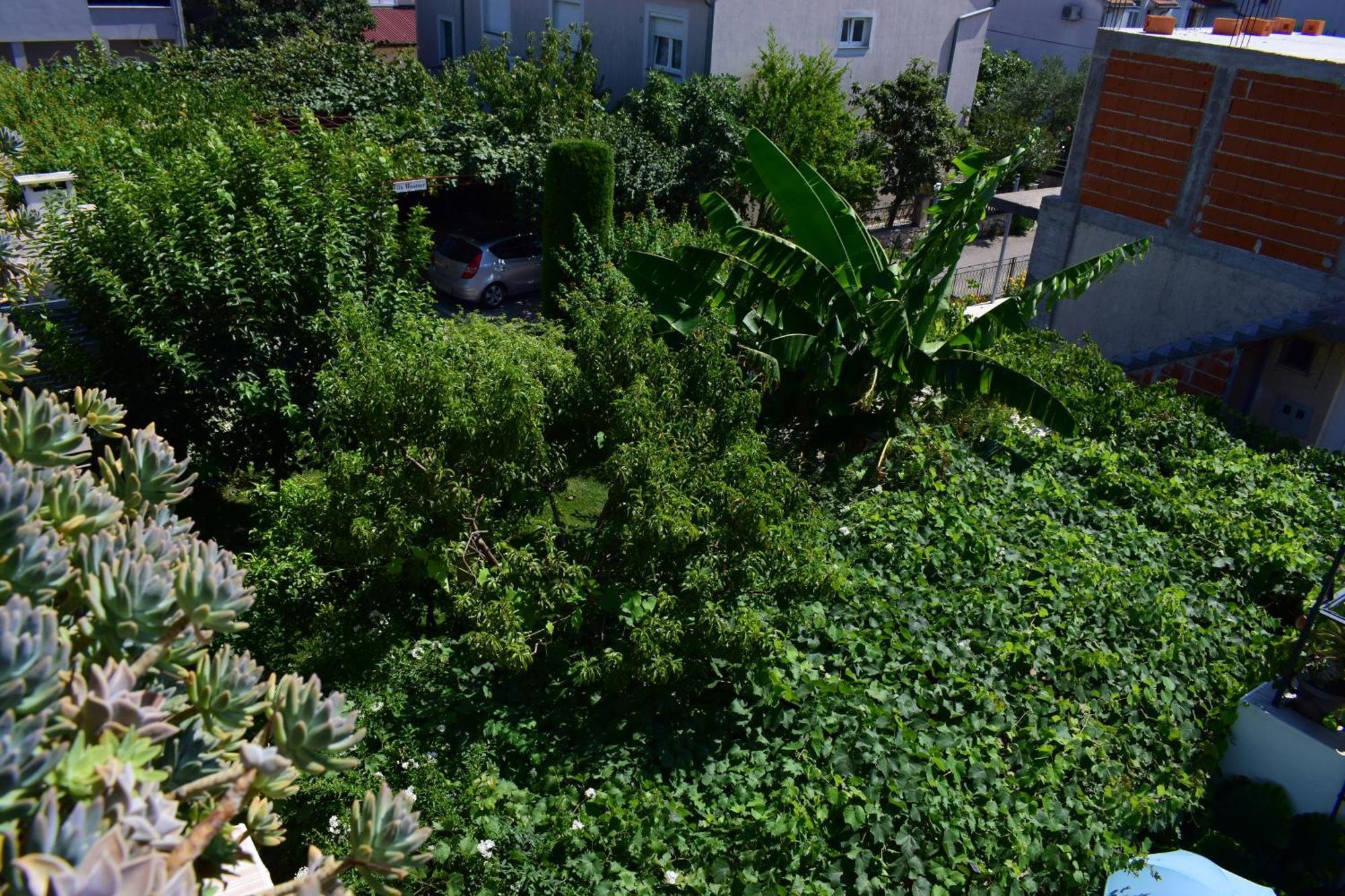 Rooms Vila Mautner Водице Екстер'єр фото